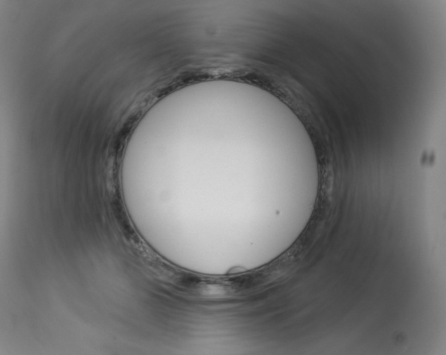 X0000114080510200910051003