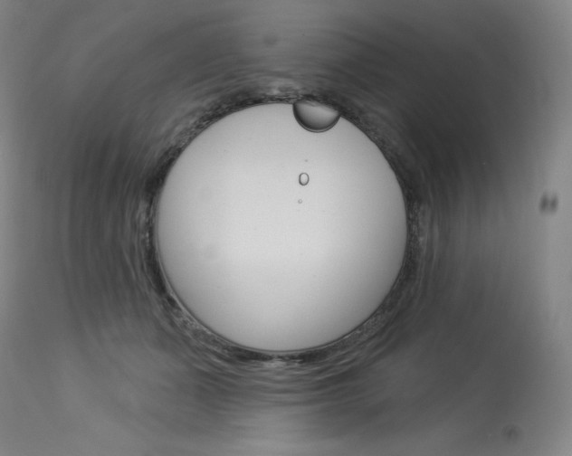 X0000114080511200910051003