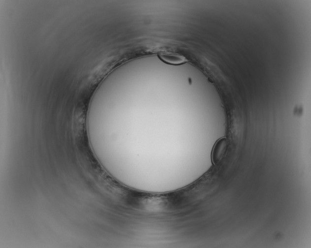 X0000114080513200910051003