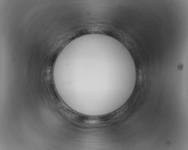 X0000114080514200910051003