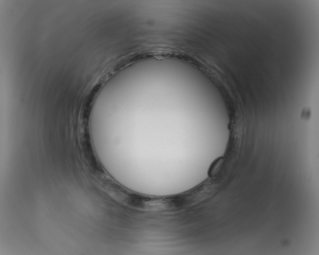 X0000114080516200910051003