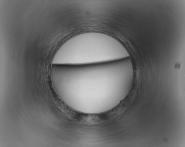 X0000114080517200910051003