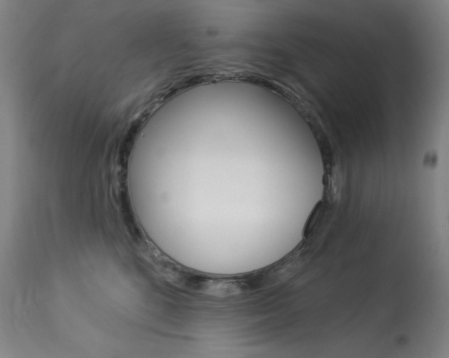 X0000114080520200910051003