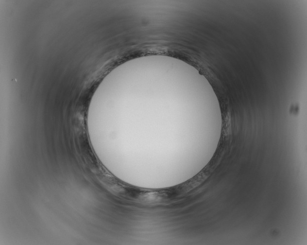 X0000114080522200910051003