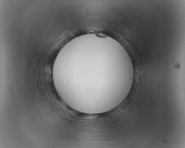 X0000114080523200910051003