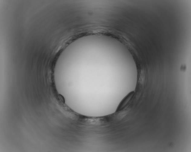 X0000114080524200910051003