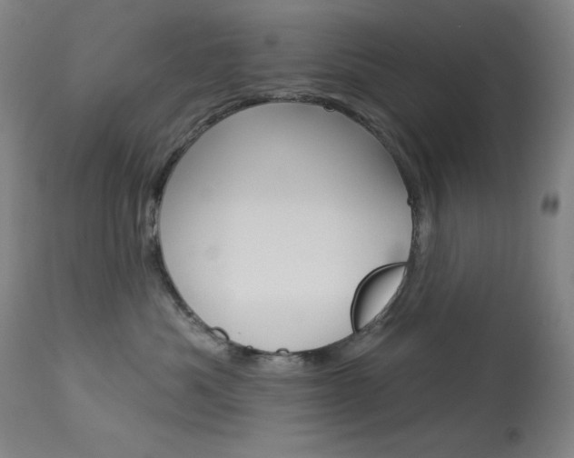 X0000114080525200910051003