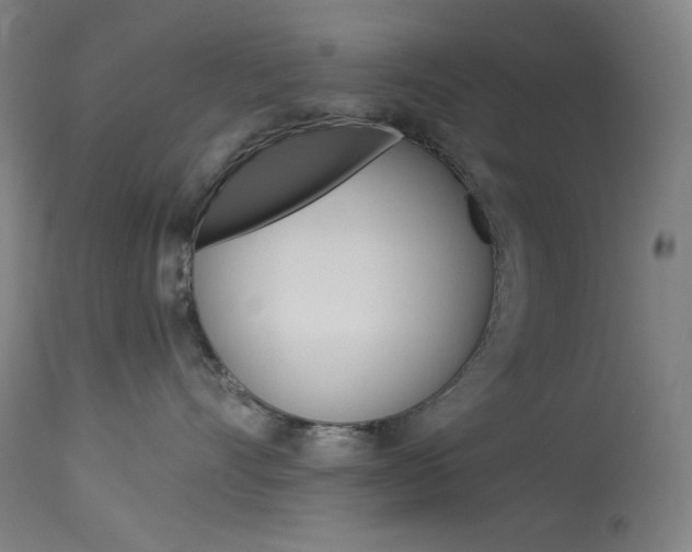 X0000114080528200910051003
