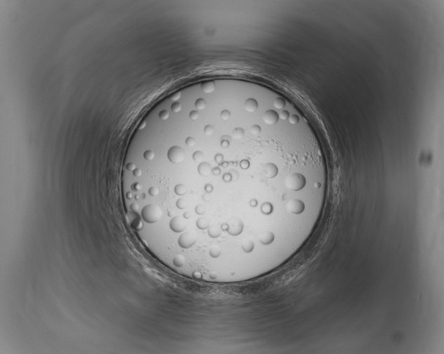 X0000114080529200910051002