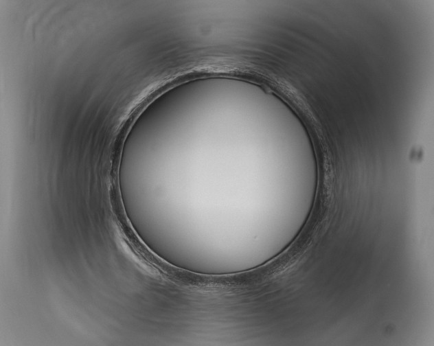 X0000114080530200910051002