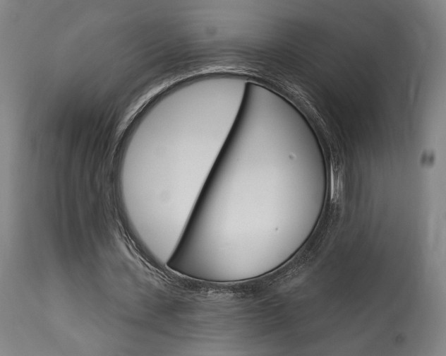 X0000114080531200910051002