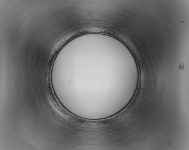 X0000114080533200910051002