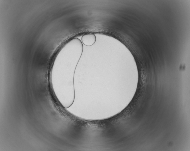 X0000114080534200910051002