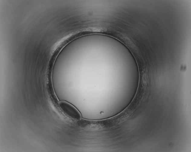 X0000114080536200910051002