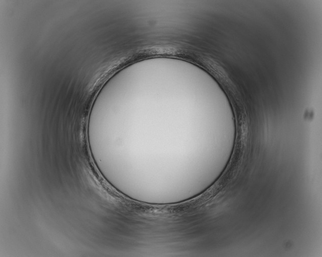 X0000114080537200910051002