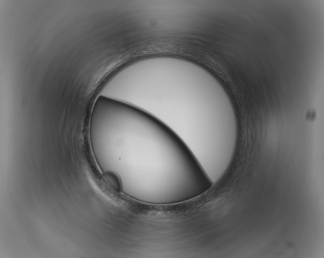 X0000114080538200910051002