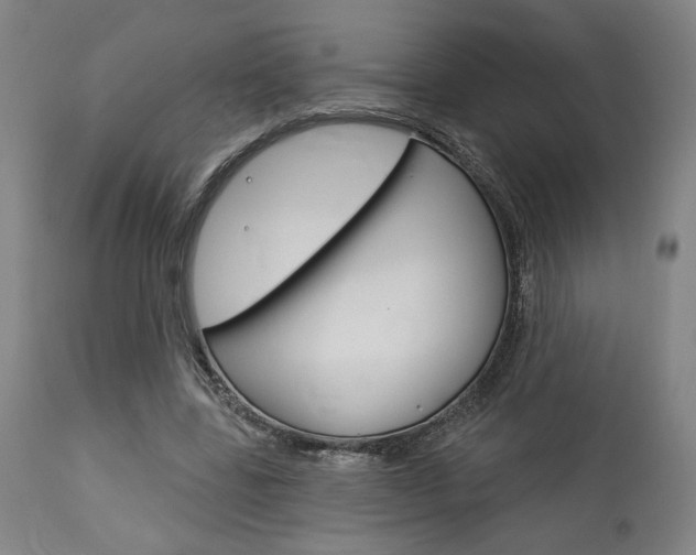 X0000114080539200910051002