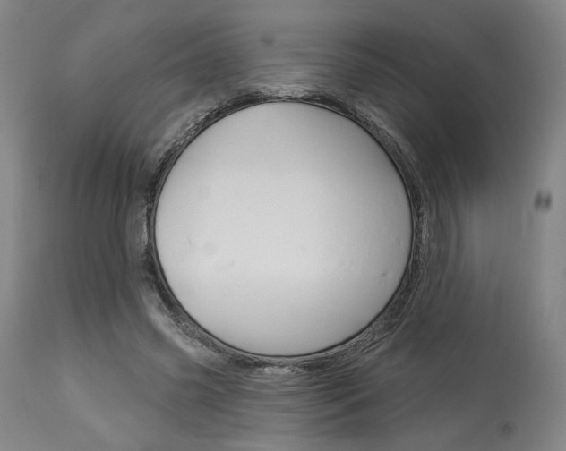 X0000114080541200910051002