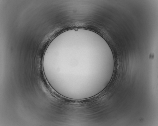 X0000114080542200910051002