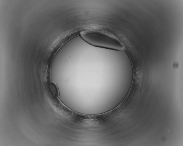X0000114080544200910051002
