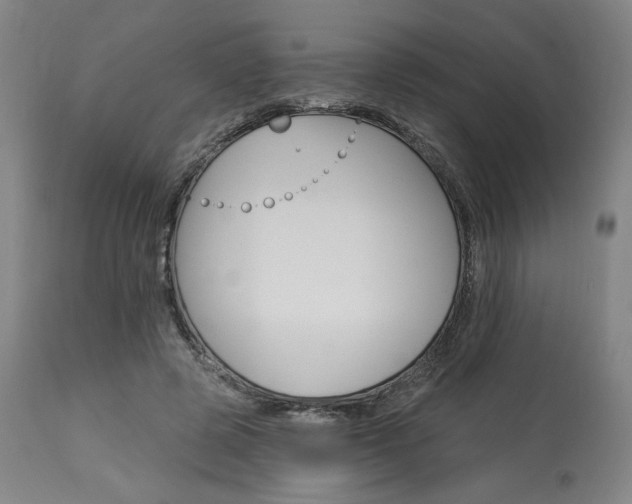 X0000114080545200910051002