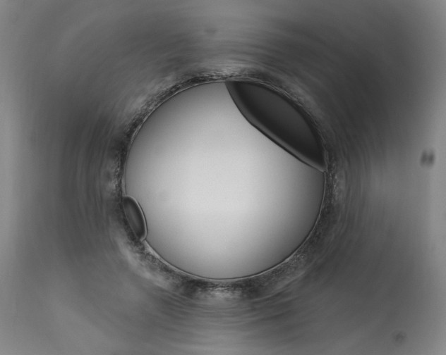 X0000114080546200910051002