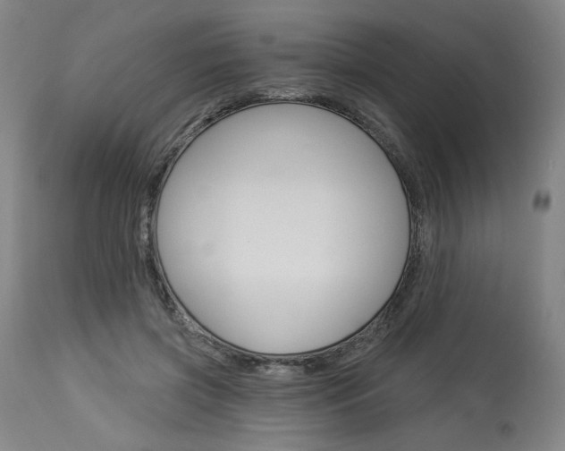 X0000114080549200910051002