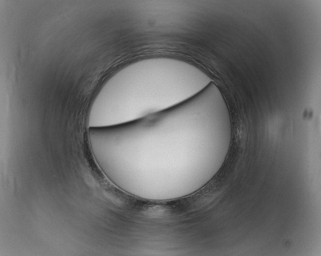 X0000114080551200910051002