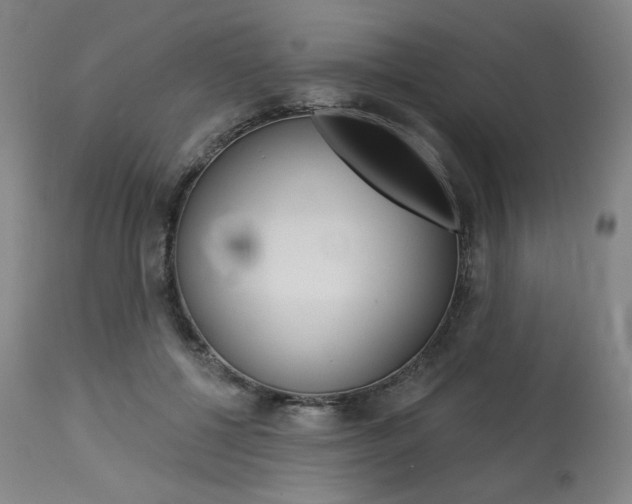X0000114080552200910051002