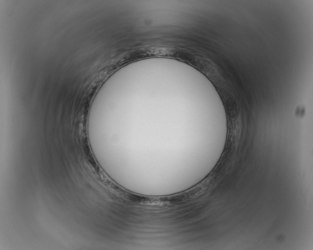 X0000114080553200910051002