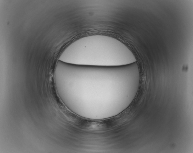 X0000114080555200910051002