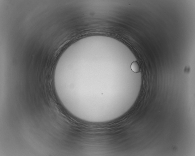 X0000114080556200910051003