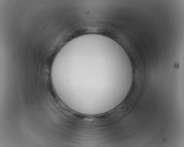 X0000114080557200910051003