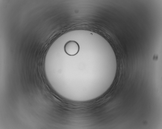 X0000114080558200910051003