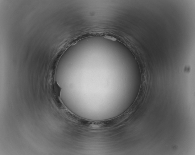 X0000114080560200910051003