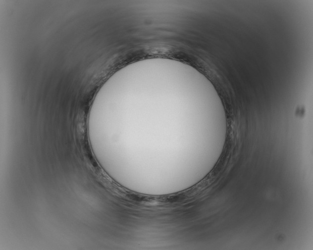 X0000114080561200910051003