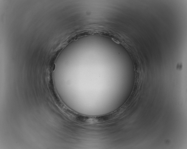 X0000114080562200910051003