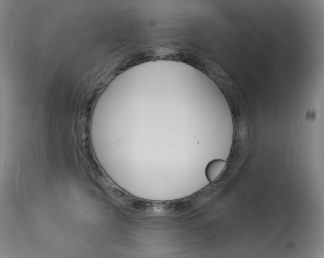 X0000114080565200910051003