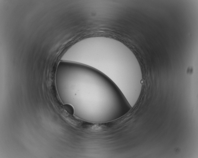 X0000114080566200910051003