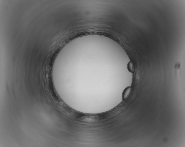 X0000114080567200910051003