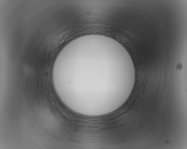 X0000114080568200910051003