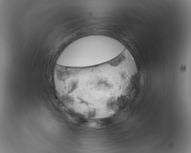 X0000114080569200910051003