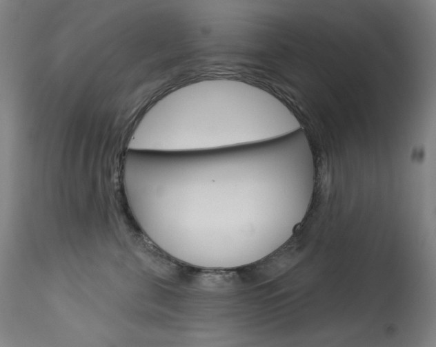 X0000114080571200910051003