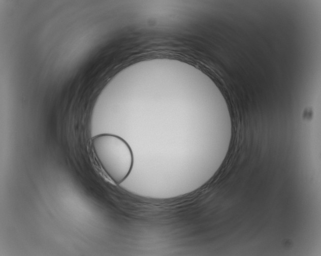 X0000114080572200910051003