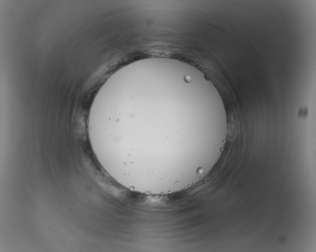 X0000114080573200910051003