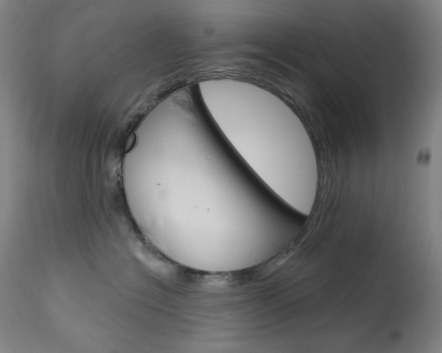 X0000114080574200910051003