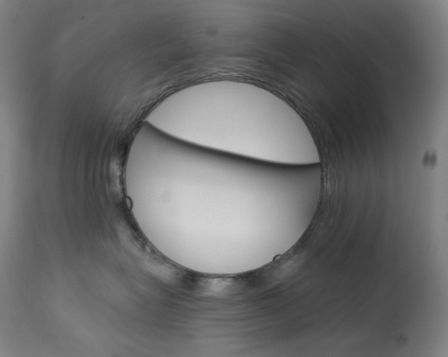 X0000114080575200910051003