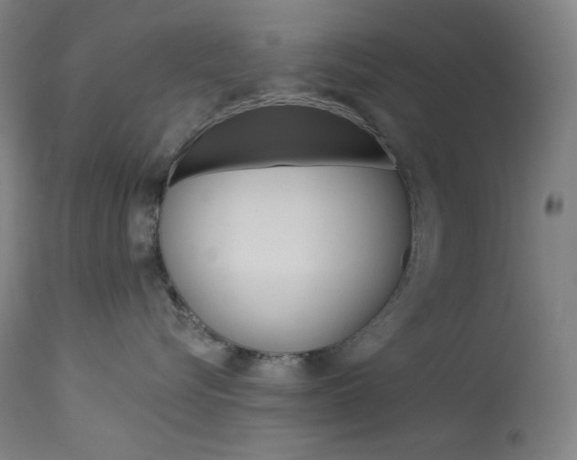 X0000114080576200910051003