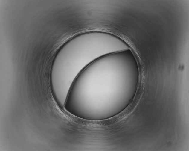 X0000114080577200910051002