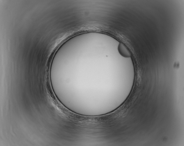 X0000114080578200910051002